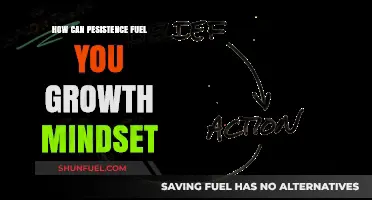 Persistence Powers Growth: Cultivating Resilience for Lasting Mindset Transformation