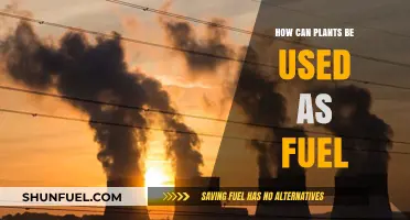 Harnessing Green Energy: How Plants Can Power Our Future