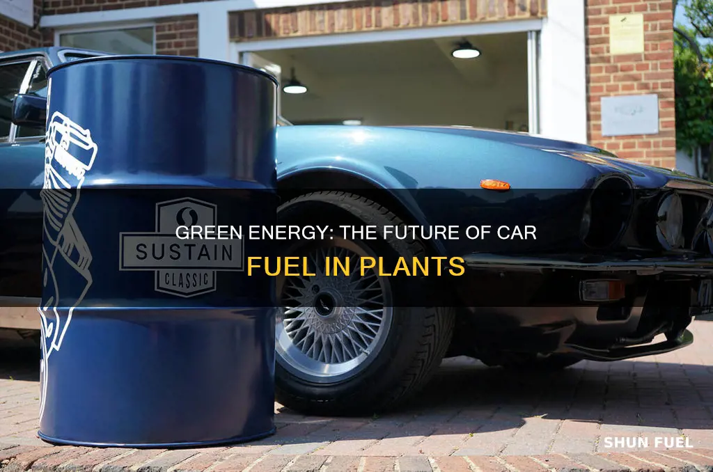 how can plants be used to fuel cars