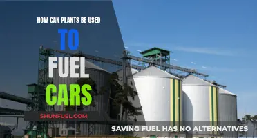 Plants Powering Cars: The Future of Sustainable Fuel