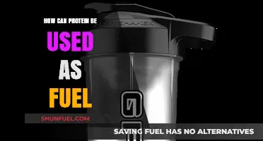 Protein Power: How to Use Protein as Fuel for Energy