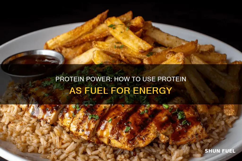 how can protein be used as fuel