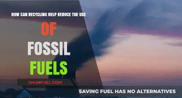 Recycling: Reducing Fossil Fuel Consumption and Environmental Impact
