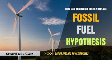 Renewable Energy: The Future's Answer to Fossil Fuel Dominance