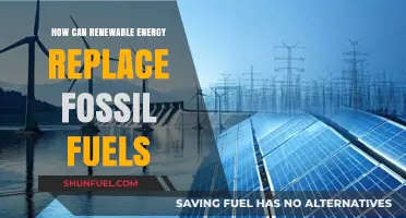Renewable Energy's Rise: A Sustainable Path to Replace Fossil Fuels