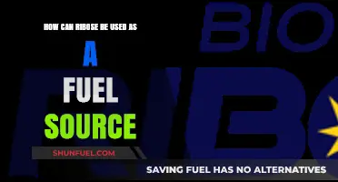 Ribose as Fuel: Unlocking Energy Potential in Metabolic Processes