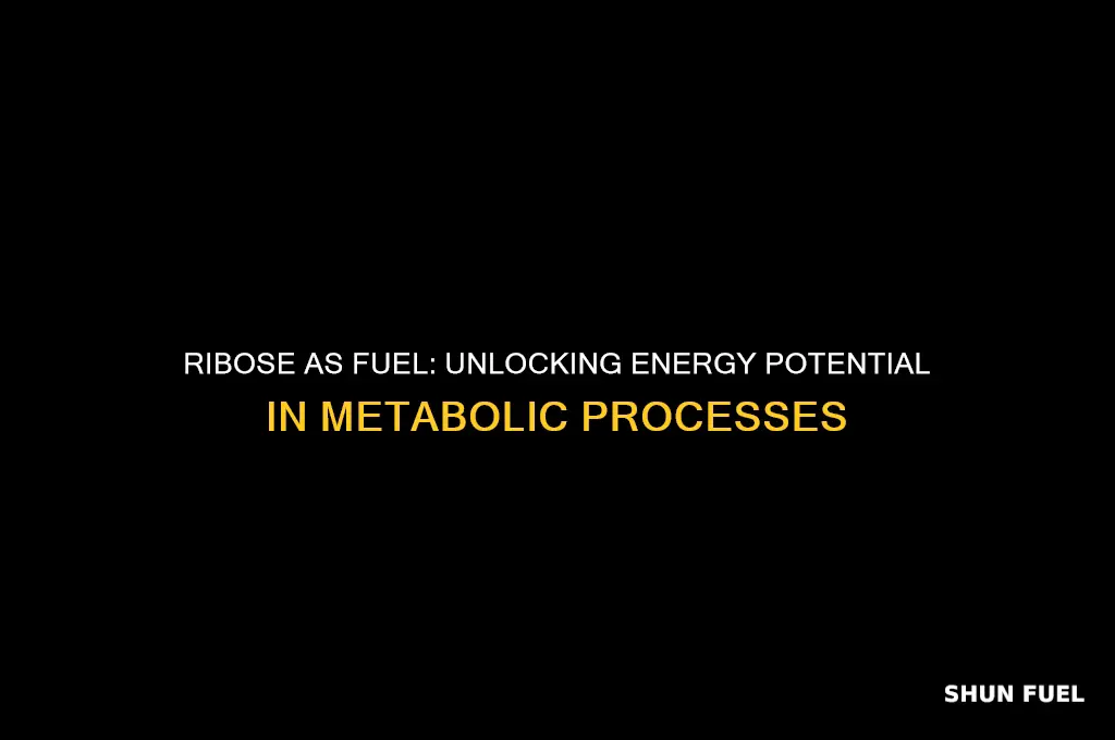 how can ribose be used as a fuel source