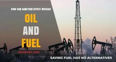 Sanctions' Impact: Russia's Oil and Fuel Sector Under Pressure