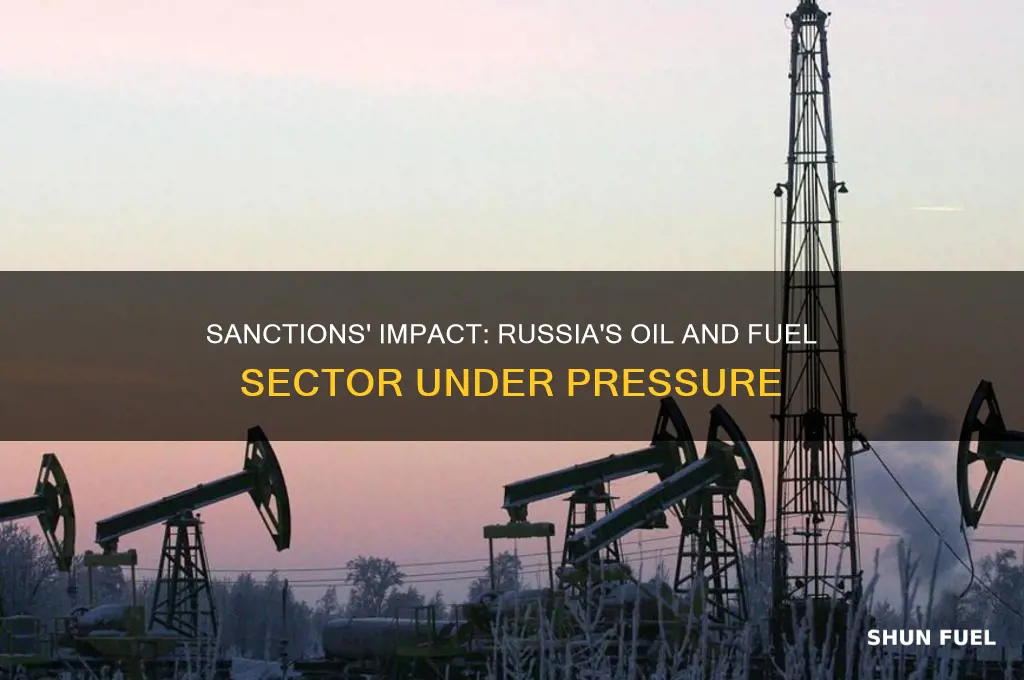 how can sanction effect russias oil and fuel