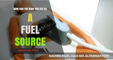 Unlocking Fat's Energy Potential: How Your Body Burns Fat for Fuel