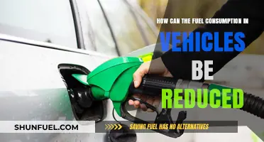 Efficient Driving Tips to Slash Vehicle Fuel Consumption Effectively