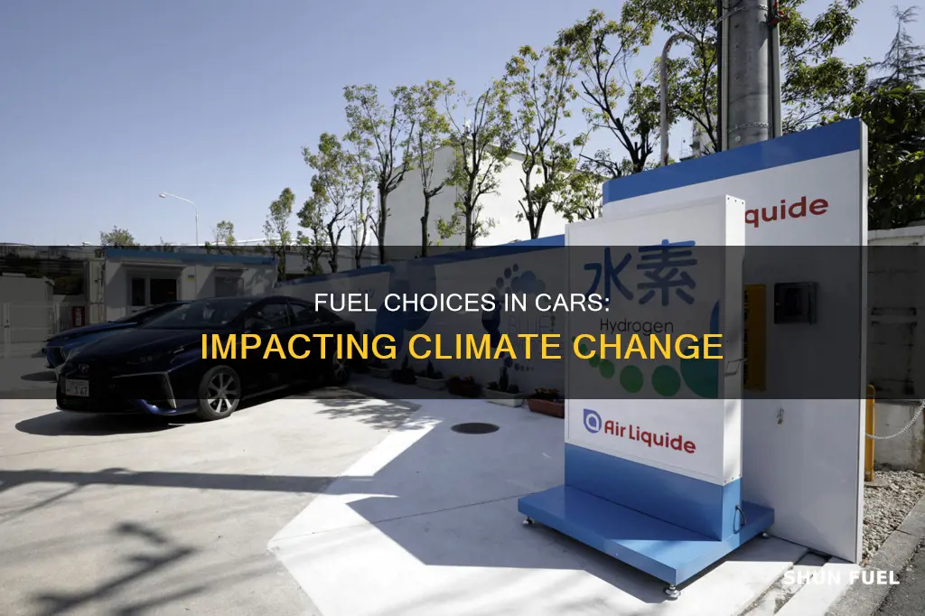 how can the fuel in cars affect global warmng