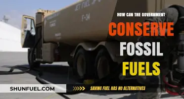 Sustainable Strategies: How Governments Can Conserve Fossil Fuels Effectively