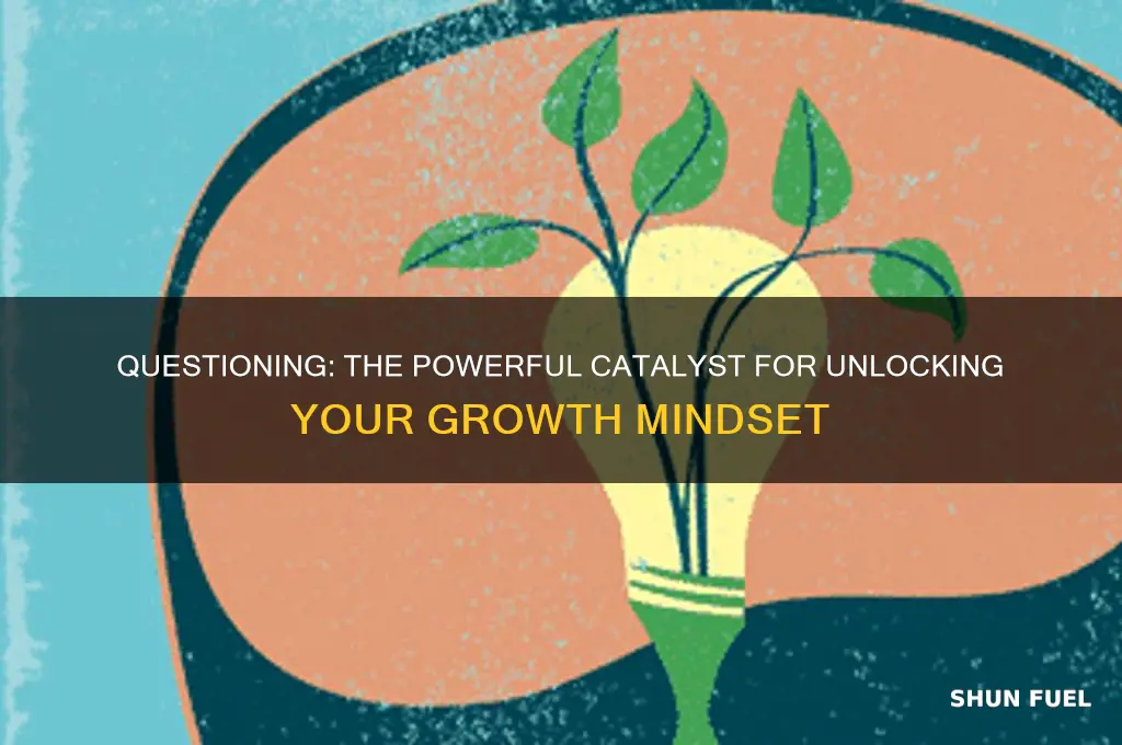 how can the skill of questioning fuel your growth mindset