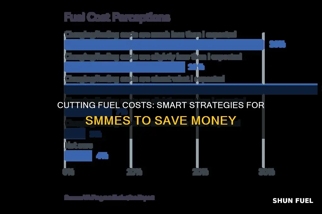 how can the smme reduce the cost of fuel