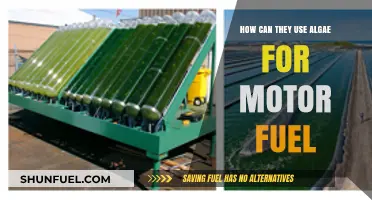 Algae's Green Revolution: Transforming Renewable Energy into Sustainable Motor Fuel