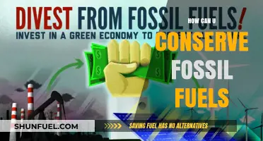 Sustainable Energy Practices: Smart Ways to Conserve Fossil Fuels Today