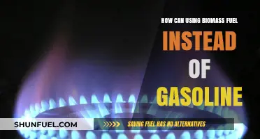 Biomass Fuel vs. Gasoline: Greener, Sustainable Energy Alternative Explained