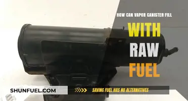 Why Vapor Canisters Fill with Raw Fuel: Causes and Solutions