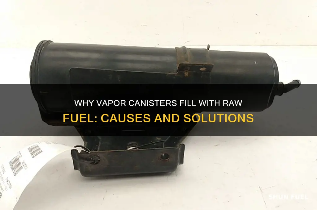 how can vapor canister fill with raw fuel