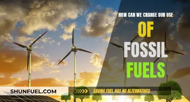 Transitioning from Fossil Fuels: Strategies for a Sustainable Future