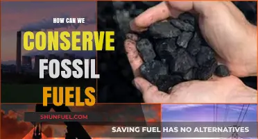 Sustainable Strategies to Reduce Fossil Fuel Dependence and Protect Our Planet