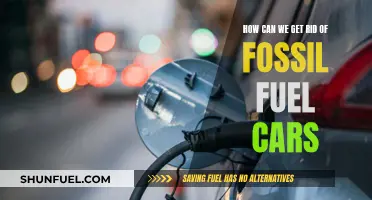 Transitioning to a Green Future: Phasing Out Fossil Fuel Cars