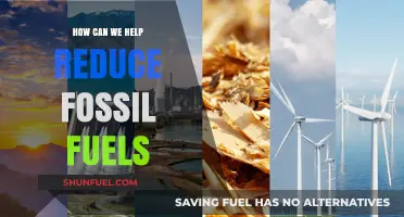 Reducing Fossil Fuels: A Sustainable Future for All