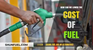 Effective Strategies to Reduce Fuel Costs and Save Money