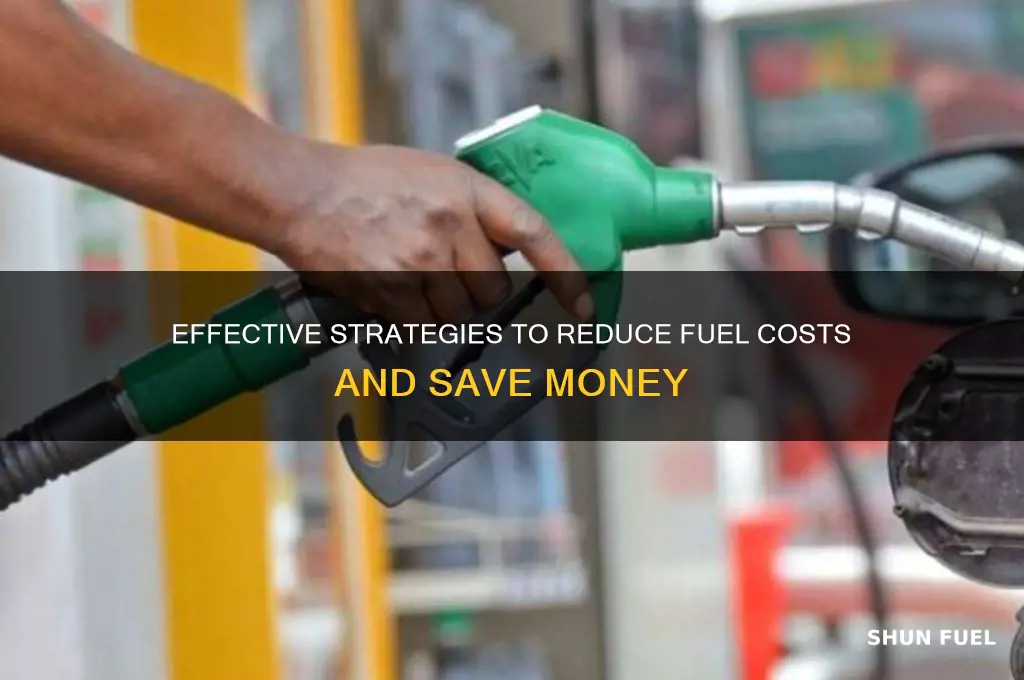 how can we lower the cost of fuel