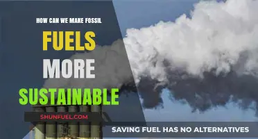 Innovative Strategies to Enhance Fossil Fuel Sustainability for a Greener Future