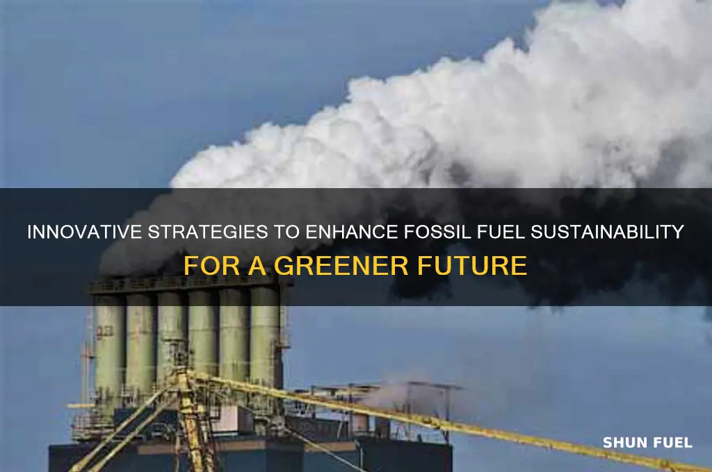 how can we make fossil fuels more sustainable