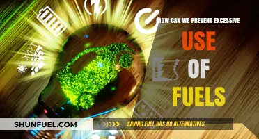 Sustainable Energy Solutions: Strategies to Curb Excessive Fuel Consumption