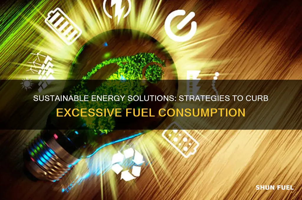 how can we prevent excessive use of fuels