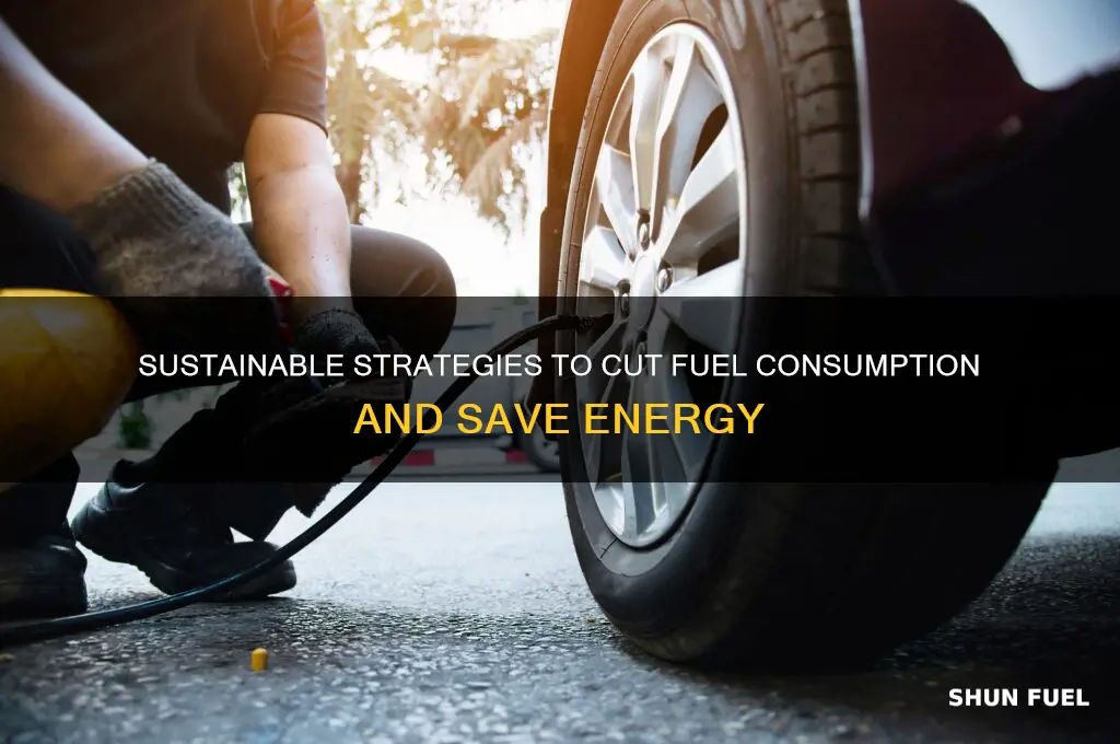 how can we reduce fuels