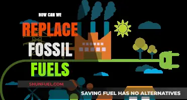 Sustainable Energy Transition: Replacing Fossil Fuels with Renewable Alternatives