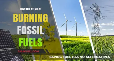Ending Fossil Fuel Usage: A Sustainable Future