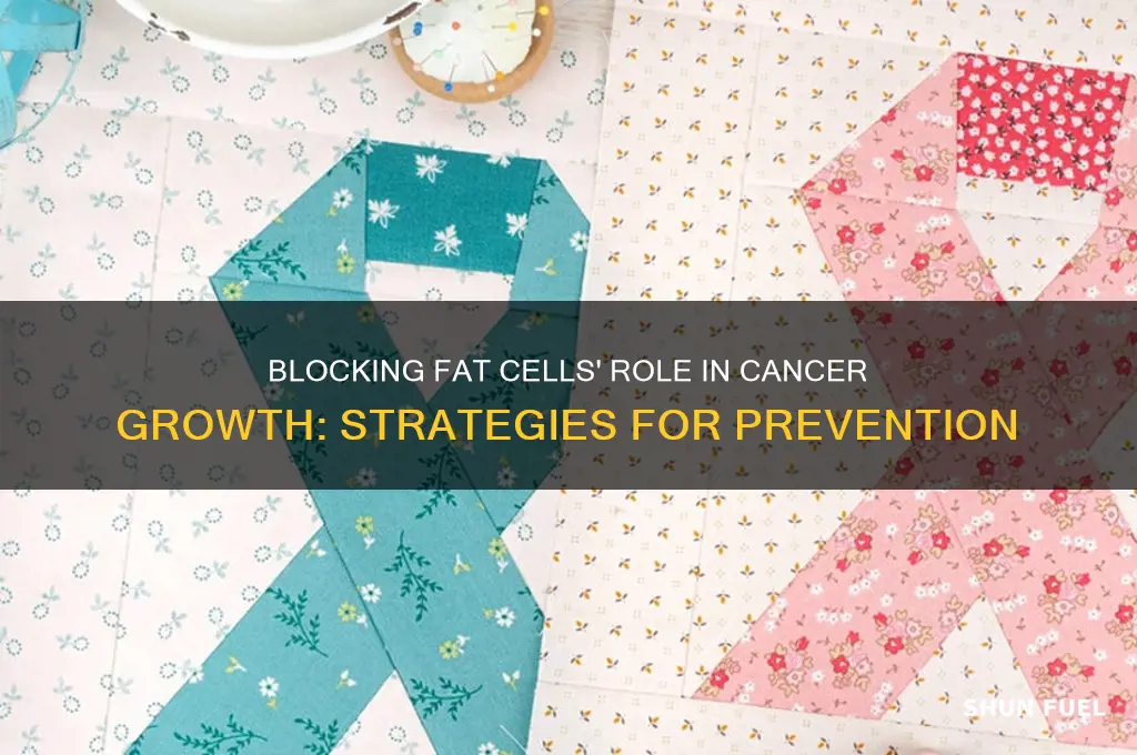 how can we stop fat cells from fueling cancer
