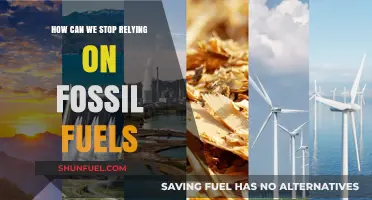 Transitioning Beyond Fossil Fuels: Strategies for a Sustainable Future