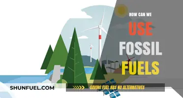Maximizing Fossil Fuels: Sustainable Strategies for Energy Transition and Use