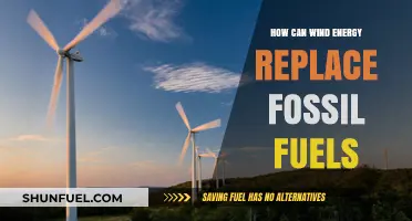 Wind Power: The Future of Energy, Replacing Fossil Fuels