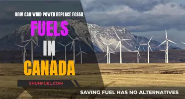 Wind Power: Canada's Clean Energy Transition
