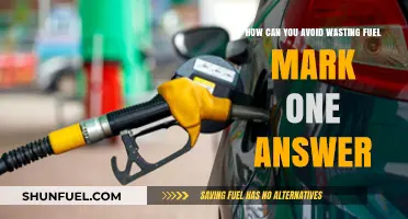 Smart Fuel-Saving Tips: Avoid Wasting Gas and Save Money