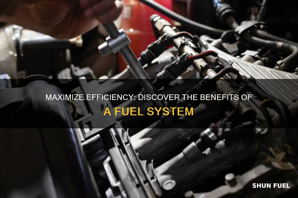 how can you benefit from a fuel system