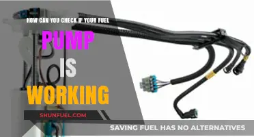 Is Your Fuel Pump Functioning? Quick and Easy Diagnostic Tips