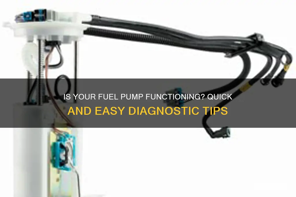 how can you check if your fuel pump is working