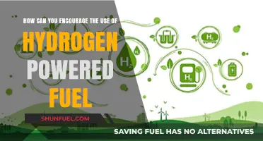 Boosting Hydrogen Fuel Adoption: Strategies for a Sustainable Energy Future