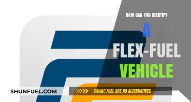 Spotting Flex-Fuel Vehicles: Key Identification Tips and Features
