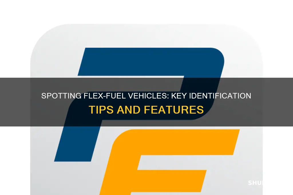 how can you identify a flex-fuel vehicle