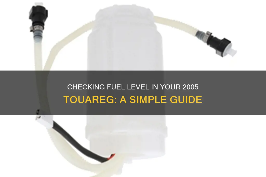 how can you know the fuel level 2005 tourage
